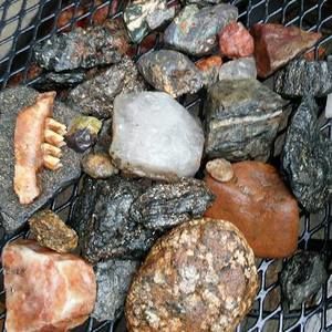 Meet your Posher, Tj